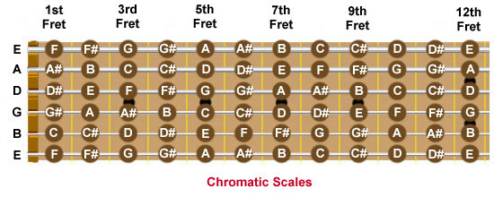 Guitar Notes Fretboard Chart. Guitar fretboard showing every
